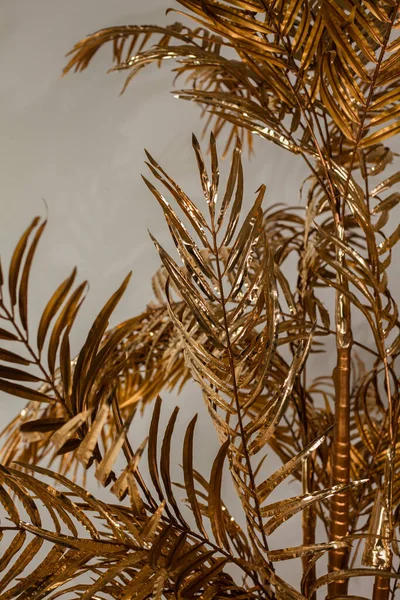 Achtergrond Afbeelding Van Gouden Bladeren Van Een Palmboom Een Zwarte — Stockfoto