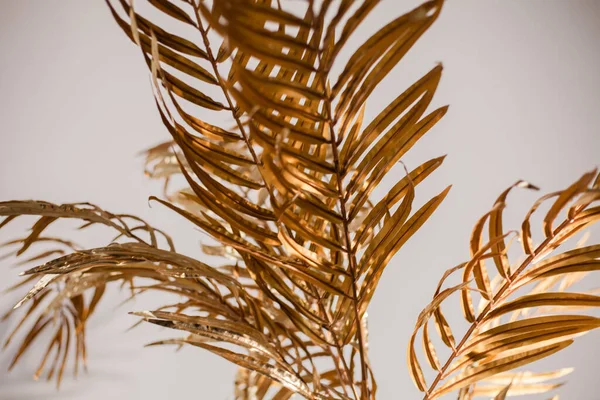 Bakgrundsbild Gyllene Blad Palm Svart Bakgrund Färgen 2021 Kollage Palmblad — Stockfoto