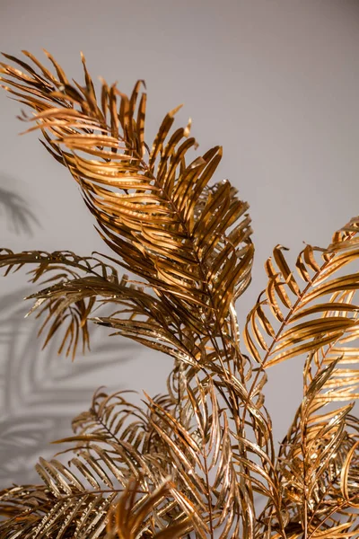 Bakgrundsbild Gyllene Blad Palm Svart Bakgrund Färgen 2021 Kollage Palmblad — Stockfoto