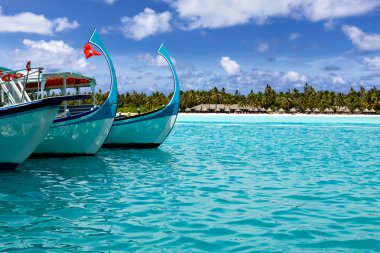 Koyda demirlemiş tekneler