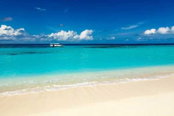 Paradies wilder Strand in der Karibik — Stockfoto