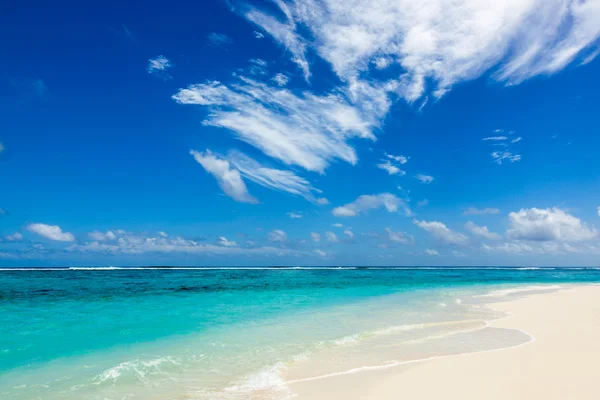 Paradise vilda strand i Västindien Stockbild