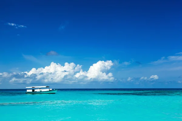 Райский дикий пляж на Карибах — стоковое фото
