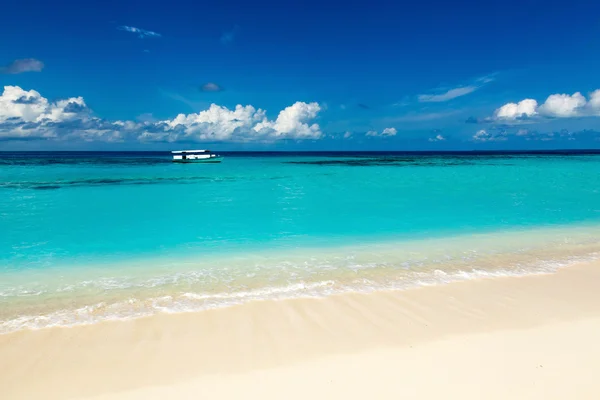 Paraíso playa salvaje en el Caribe —  Fotos de Stock