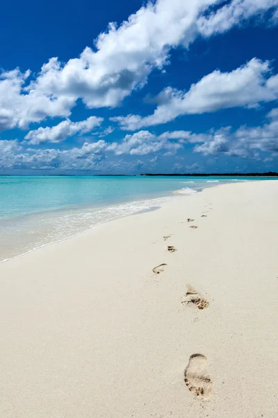 카리브해에 있는 열 대 낙원 — 스톡 사진