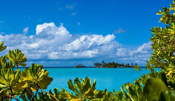 Ilha tropical paraíso — Fotografia de Stock