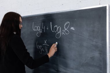Matematik dersindeki genç öğretmen tahtaya tebeşirle yazı yazıyor. Uzun siyah saçlar. Lise ve üniversitede eğitim.