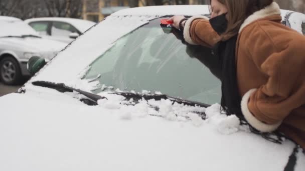 Zatímco odstraňuje sníh z předního skla osobního automobilu, teenager sahá daleko dopředu, aby setřel sníh z druhé strany. — Stock video