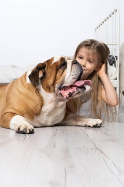 Yatak odasında, yerde köpeğiyle oturan ve onu okşayan genç bir kız. Çocuk ve köpek. İngiliz Bulldog safkan bir köpek ve soyu var..