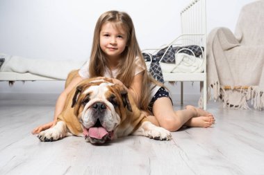 Yatak odasında, yerde köpeğiyle oturan ve onu okşayan genç bir kız. Çocuk ve köpek. İngiliz Bulldog safkan bir köpek ve soyu var..