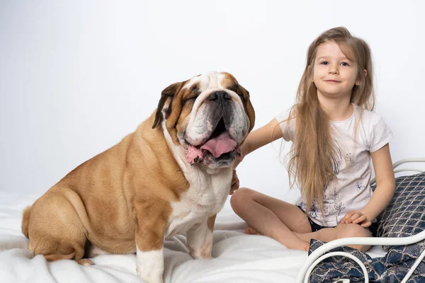 Una joven está sentada en la cama con su perro y lo acaricia suavemente. Niño y perro. El Bulldog Inglés es un perro de raza pura con un pedigrí. —  Fotos de Stock