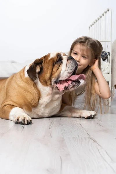 Uma jovem em um quarto, sentada no chão com seu cachorro e acariciando-o. Criança e cão. O Bulldog Inglês é um cão de raça pura com um pedigree. — Fotografia de Stock