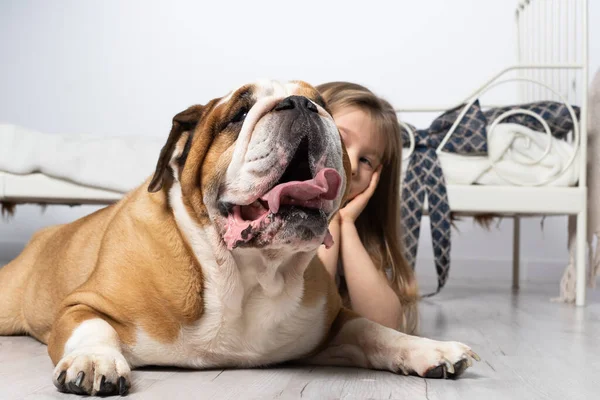 Dos amigos de ensueño, un niño y un perro, yacen juntos en la habitación en el suelo junto a la cama y se balancean en las nubes. El Bulldog Inglés es un perro de raza pura con un pedigrí. —  Fotos de Stock