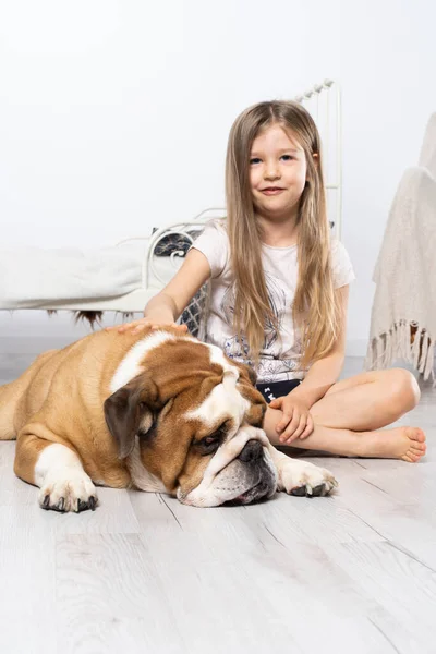 Uma jovem em um quarto, sentada no chão com seu cachorro e acariciando-o. Criança e cão. O Bulldog Inglês é um cão de raça pura com um pedigree. — Fotografia de Stock
