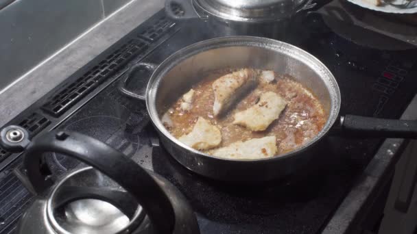 À la maison, le poisson de mer est frit à l'huile sur une cuisinière à induction. Les morceaux épais de morue coupée dans la casserole chauffent. Cuisine maison. — Video