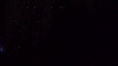 Yeni yıl kutlamaları sırasında ağaç tepelerinin olduğu dar bir çerçeve. Periyodik olarak alevlerden ve diğer havai fişeklerden gelen parlak ışıklar koyu arkaplana çarpıyor.