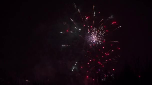 Smal frame tijdens nieuwjaarsviering. Periodiek fel licht van fakkels en ander vuurwerk flitsen tegen een donkere achtergrond. — Stockvideo