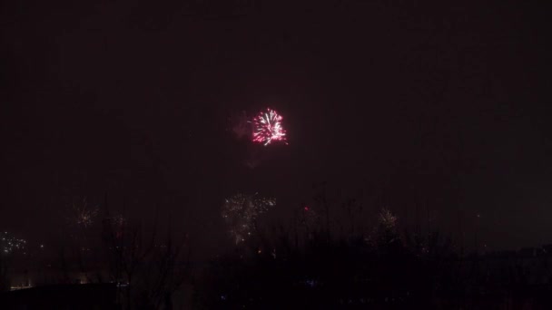 Фейерверки над панорамой Люблина в день празднования нового года. Периодически яркие огни от вспышек и других фейерверков вспыхивают на тёмном фоне. Празднование и грандиозный праздник — стоковое видео