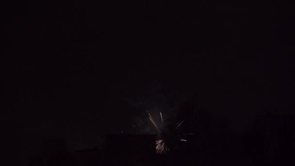 A narrow frame with the outlines of skyscrapers during the celebration of the coming of the new year. Periodically bright lights from flares and other fireworks flash against a dark background — Stock Video