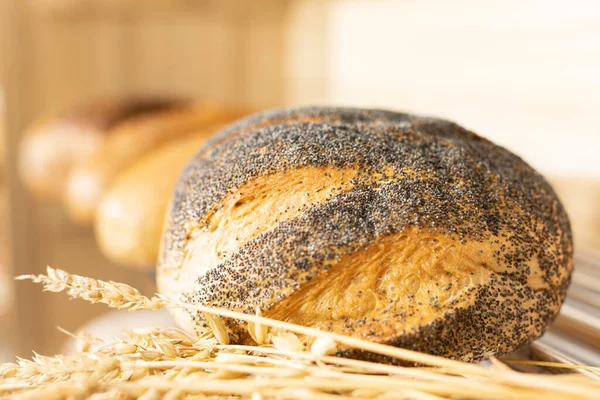 A well-baked round loaf of bread, sprinkled with poppy seeds with a crispy cracked crust. Ears of ripe wheat. — Stock Photo, Image