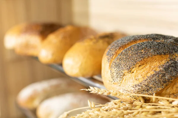 A well-baked round loaf of bread, sprinkled with poppy seeds with a crispy cracked crust. Ears of ripe wheat. — Stock Photo, Image