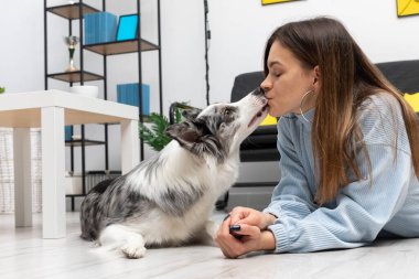 Köpek ve ergen yan yana yatarak ölümsüz bir dostluğun göstergesi olarak birbirlerini öperler. Akıllı Sınır Collie Çoban Köpeği. Dairenin modern iç tasarımı..