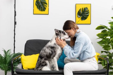 Arkadaşlık ve şefkat için, gençler ve köpekler evdeki kanepede otururken alınlarını birbirine bastırırlar. Akıllı Sınır Collie Çoban Köpeği. Dairenin modern iç tasarımı..