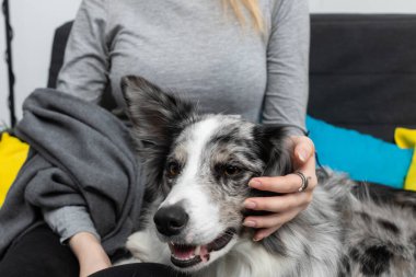 Bir gencin kanepede nasıl oturduğunu, köpeğin yanında yattığını, pençelerini ve ağzını bacaklarında tuttuğunu ve kadının adamın başını nazikçe okşadığını görebilirsiniz. Akıllı Kenarlık