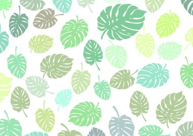 Kendi çalışmalarını tasarlamak için Monstera adında bir bitki yaprağına sahip beyaz bir arka plan.