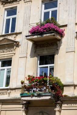 Stunningly beautiful floral arrangements displayed on balconies, greatly enhancing urban aesthetics and overall charm