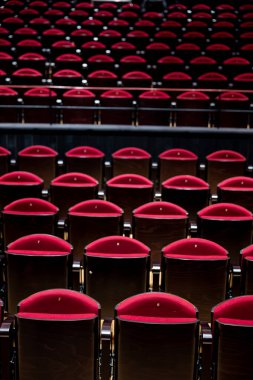 A stunning view of empty red velvet seats arranged in a theater, inviting anticipation for a performance.