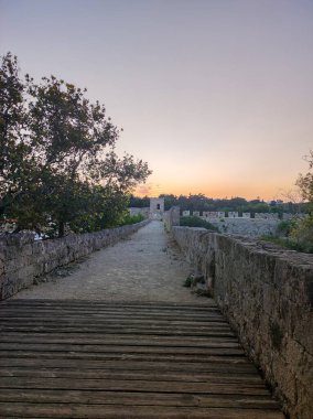 A tranquil stone path gracefully winds its way toward a breathtaking sunset, beautifully surrounded by lush greenery