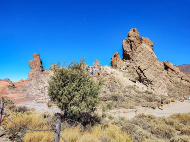 Çarpıcı bir manzara, engebeli kaya oluşumlarını ve parlak mavi gökyüzüne karşı kurulmuş renkli, canlı yaprakları sergiliyor.