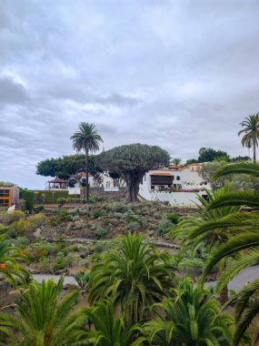 Huzurlu bir manzara farklı yeşillikler ve eşsiz ağaçlar sergiliyor, muhteşem bir huzur ortamı yaratıyor.