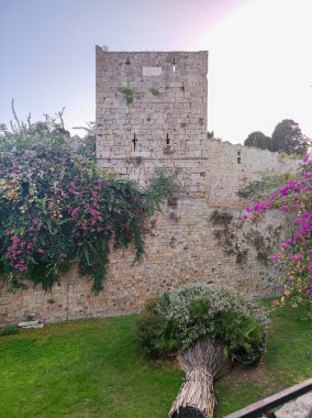 Büyüleyici ve güzel bir taş kule yemyeşil ve canlı begonviller arasında gururla duruyor.