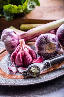 Sarımsak. Taze sarımsak. Kırmızı sarımsak. Sarımsak basın. Menekşe sarımsak. Sarımsak arka plan. sarımsak ampuller