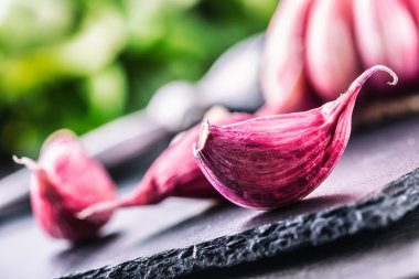 Sarımsak. Taze sarımsak. Kırmızı sarımsak. Sarımsak basın. Menekşe sarımsak. Sarımsak arka plan. sarımsak ampuller