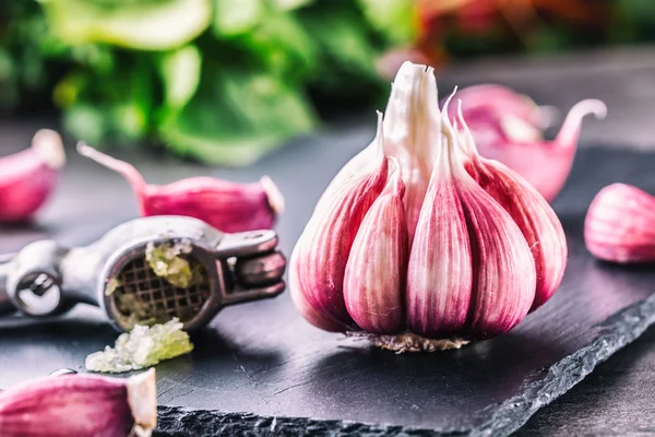 Garlic. Fresh garlic. Red garlic. Garlic press. Violet garlic.Garlic background. garlic bulbs