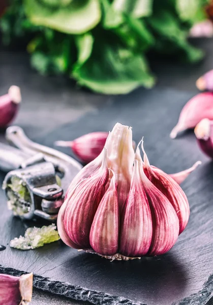 Garlic. Fresh garlic. Red garlic. Garlic press. Violet garlic.Garlic background. garlic bulbs