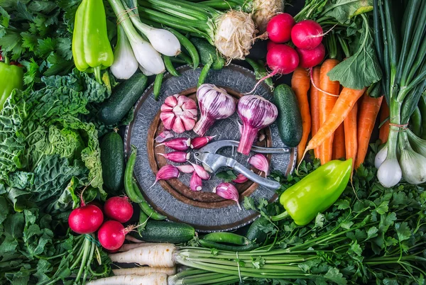 Verduras. Verduras frescas. Fondo de verduras de colores. Foto saludable estudio de verduras. Surtido de verduras frescas de cerca — Foto de Stock