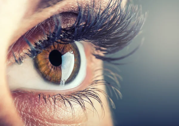 Zbliżenie: oko kobiety. makro piękne Kobieta Oko — Zdjęcie stockowe