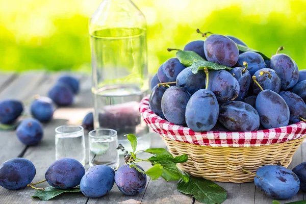 Švestky. Modré a fialové švestky v zahradě na dřevěný stůl. Láhev a dvě sklenky s slivovice — Stock fotografie