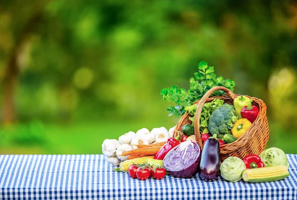 Λαχανικά. Φρέσκο μείγμα λαχανικών στο τραπέζι στον κήπο φόντο. Ποικιλία από φρέσκα λαχανικά, κοντινό πλάνο — Φωτογραφία Αρχείου