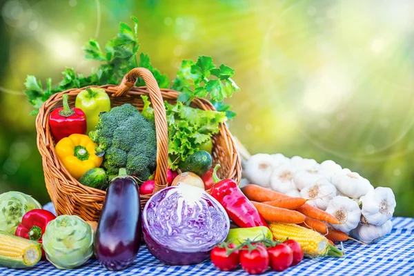 Groenten. Verse mix groente op tafel in de tuin van de achtergrond. Assortiment van verse groenten close-up — Stockfoto