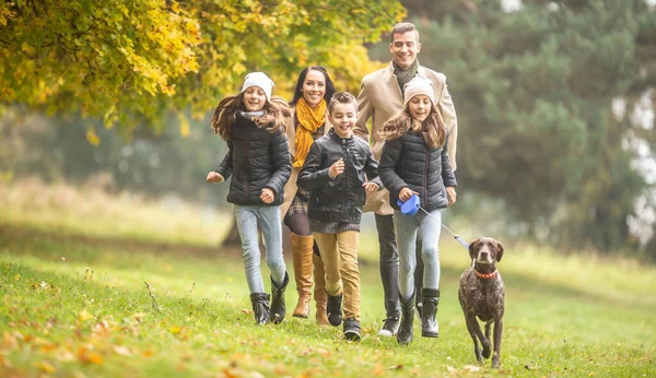 Los Niños Corren Con Los Padres Perro Puntero Pelo Corto —  Fotos de Stock