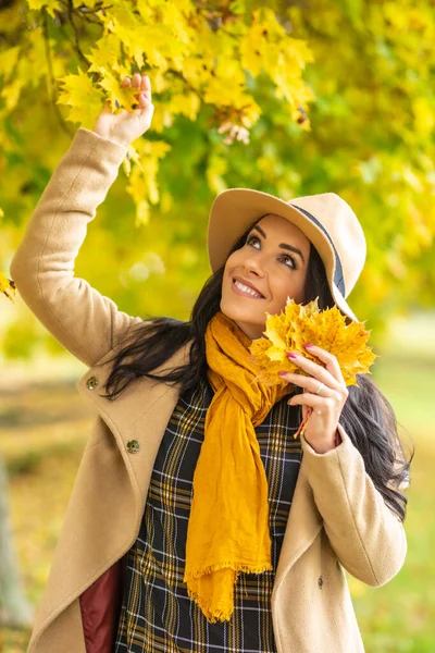 Moda Menina Escolhe Folhas Amarelas Uma Árvore Natureza Dia Outono — Fotografia de Stock
