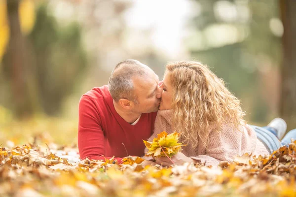 情侣们在户外接吻 四周是树叶飘落的树叶 — 图库照片