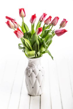 İzole edilmiş beyaz arka planda pembe bahar laleleri vazosu.