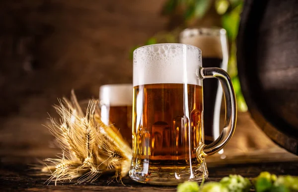 Três Copos Com Cerveja Frente Barril Madeira Decoração Orelhas Cevada — Fotografia de Stock