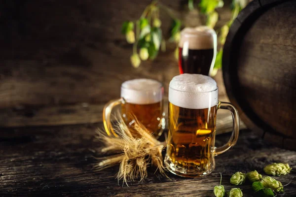 Three Glasses Draft Beer Front Wooden Barrel Decoration Barley Ears — Stock Photo, Image